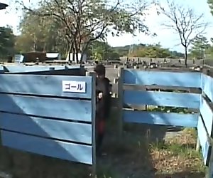 Nana Natsume Hot Japanese doll is nice